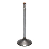 Intake Valve