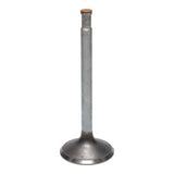 Intake Valve