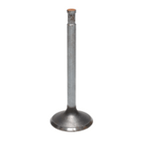 Intake Valve