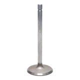Intake Valve