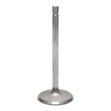 Intake Valve