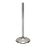 Intake Valve
