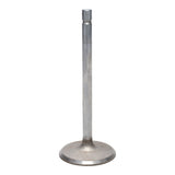 Intake Valve