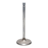 Intake Valve