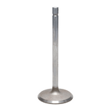 Intake Valve