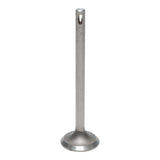 Intake Valve