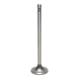 Intake Valve