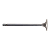 Intake Valve