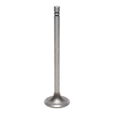 Intake Valve