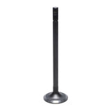 Intake Valve