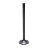 Intake Valve