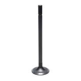 Intake Valve