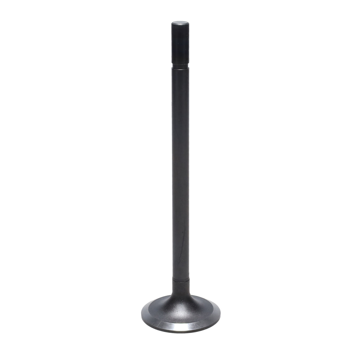 Intake Valve