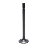 Intake Valve