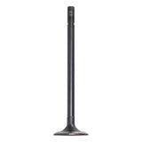 Intake Valve
