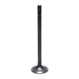 Intake Valve