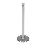 Intake Valve