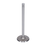 Intake Valve