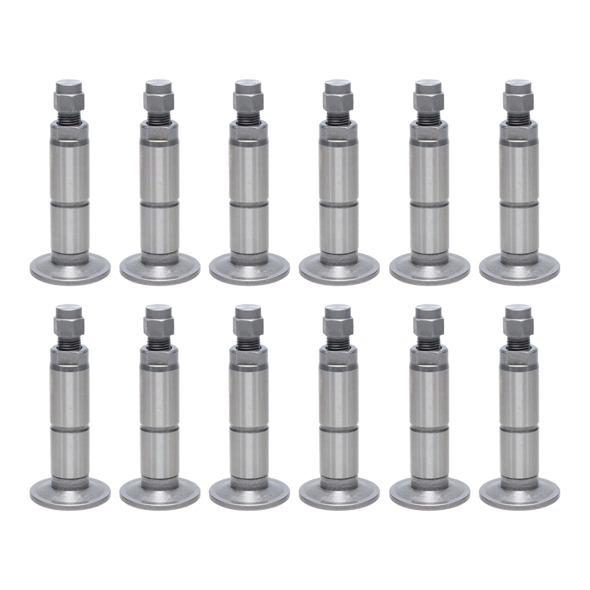 Valve Lifter
