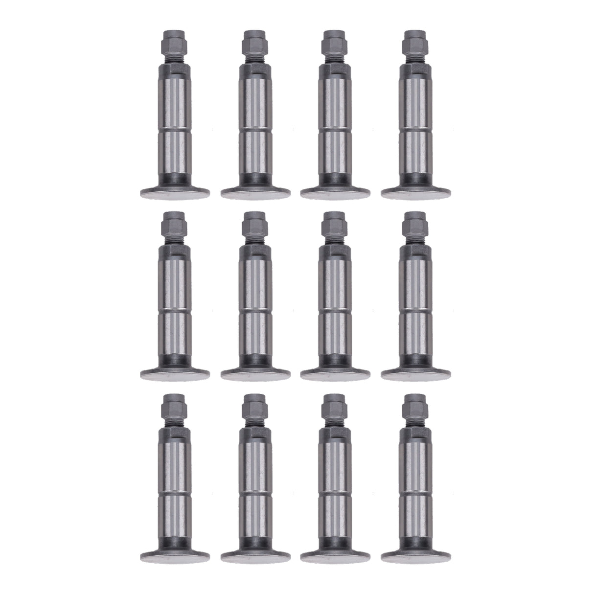 Valve Lifter