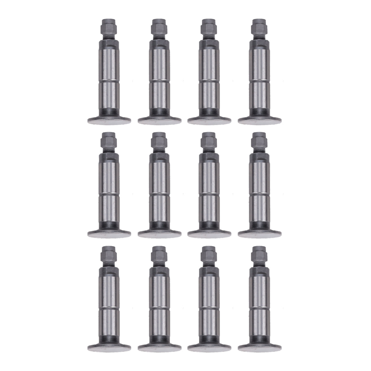 Valve Lifter
