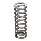 Valve Spring