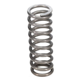 Valve Spring