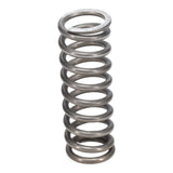 Valve Spring