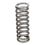 Valve Spring
