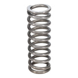 Valve Spring