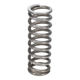 Valve Spring