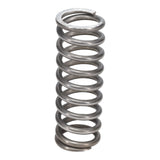 Valve Spring