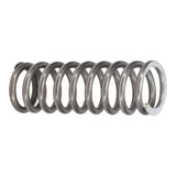 Valve Spring