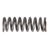 Valve Spring