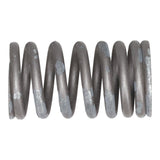Valve Spring