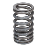 Valve Spring