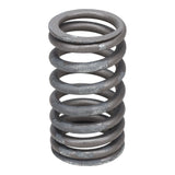 Valve Spring
