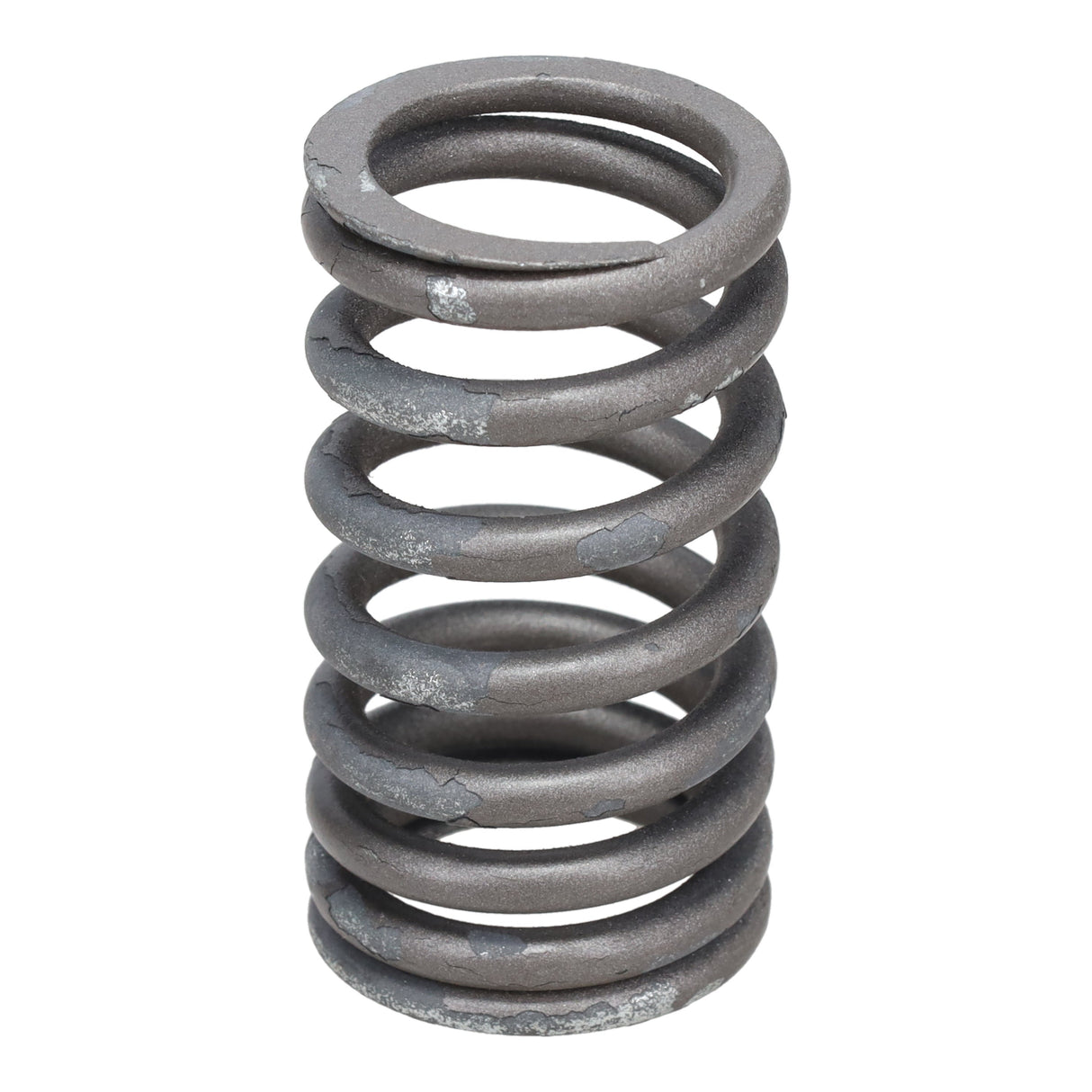 Valve Spring