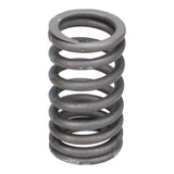 Valve Spring