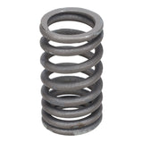 Valve Spring