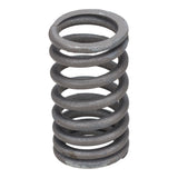 Valve Spring