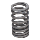 Valve Spring