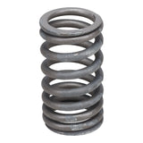 Valve Spring