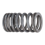 Valve Spring