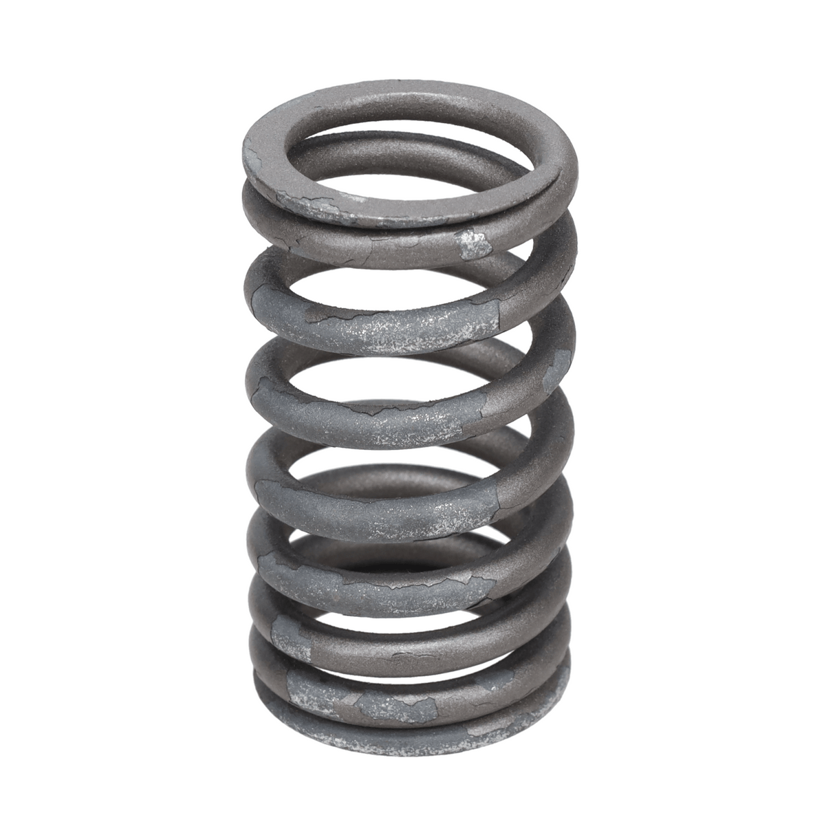 Valve Spring