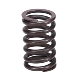 Valve Spring