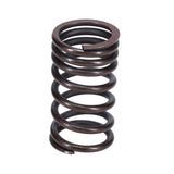 Valve Spring