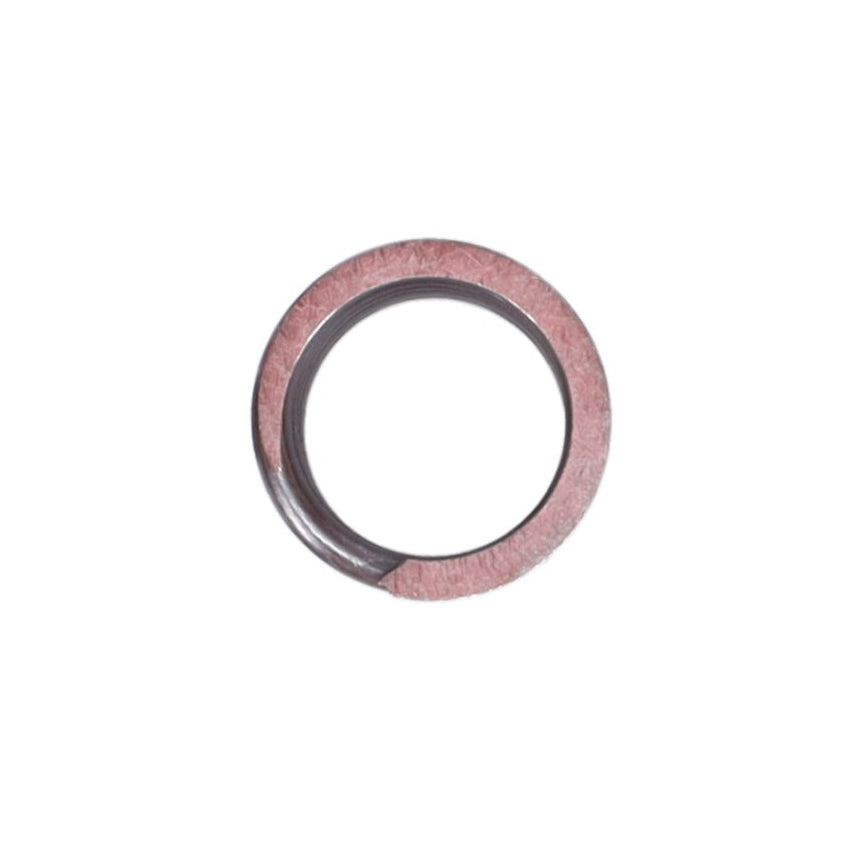 Valve Spring