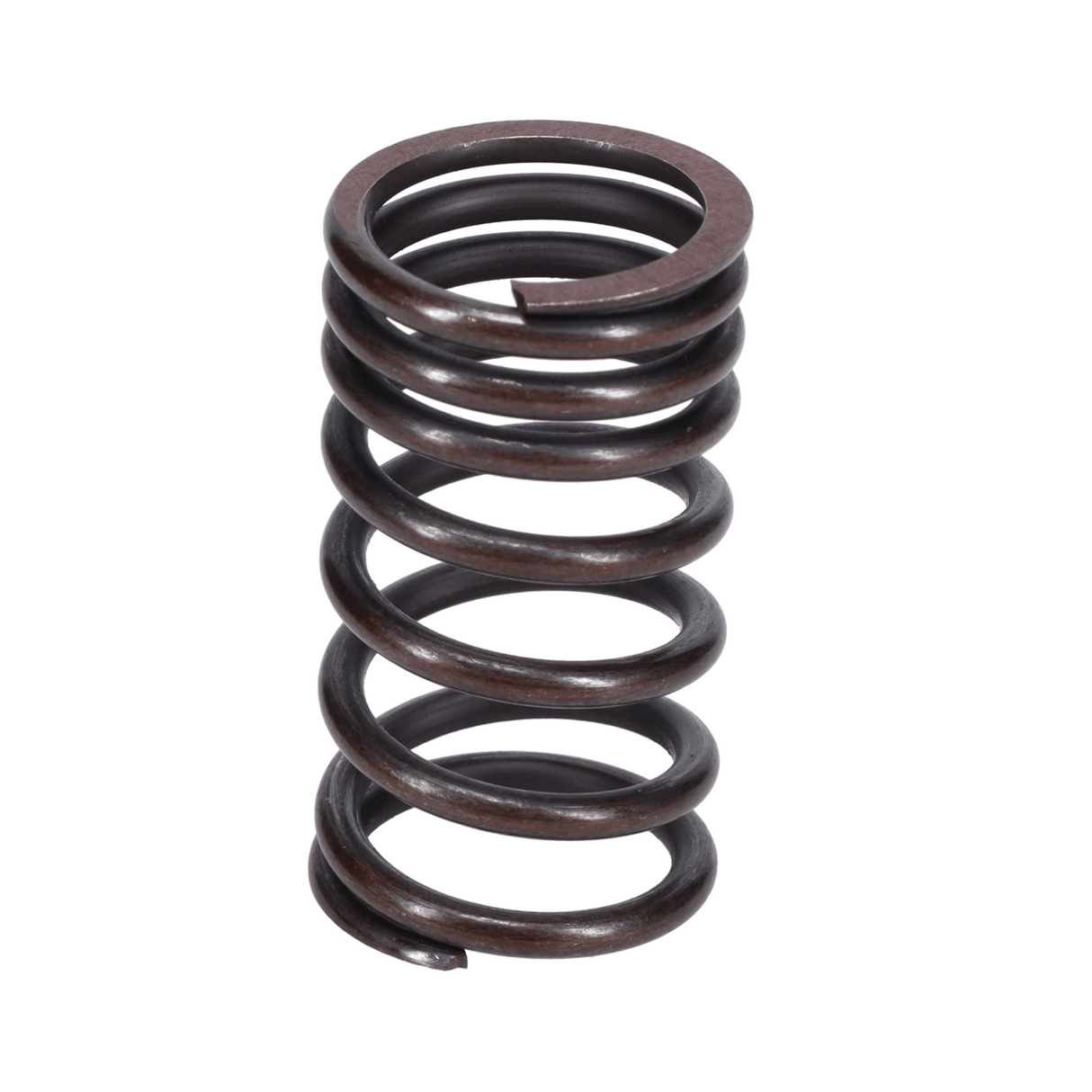 Valve Spring