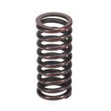 Valve Spring